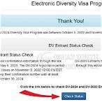dv lottery check status